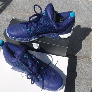 Adidas super rare jeremy lin hornets PE Exclusive sneakers .